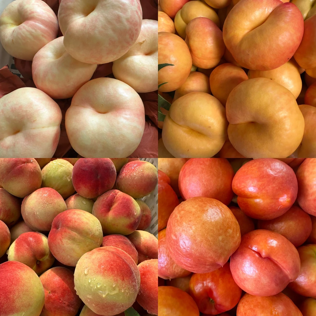 山东泰安老乡散卖水蜜桃黄桃蟠桃顺丰包邮
