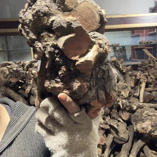 香榧木燕*堂火琉璃的故事毛料