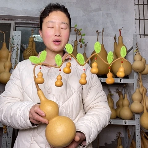 天然植物葫芦文玩