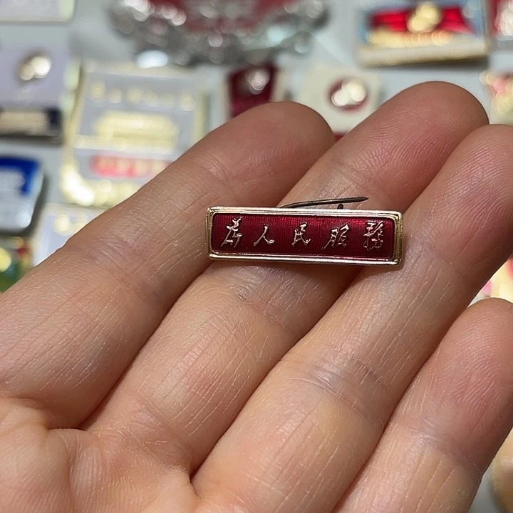 风***子其他普通金属纪念章