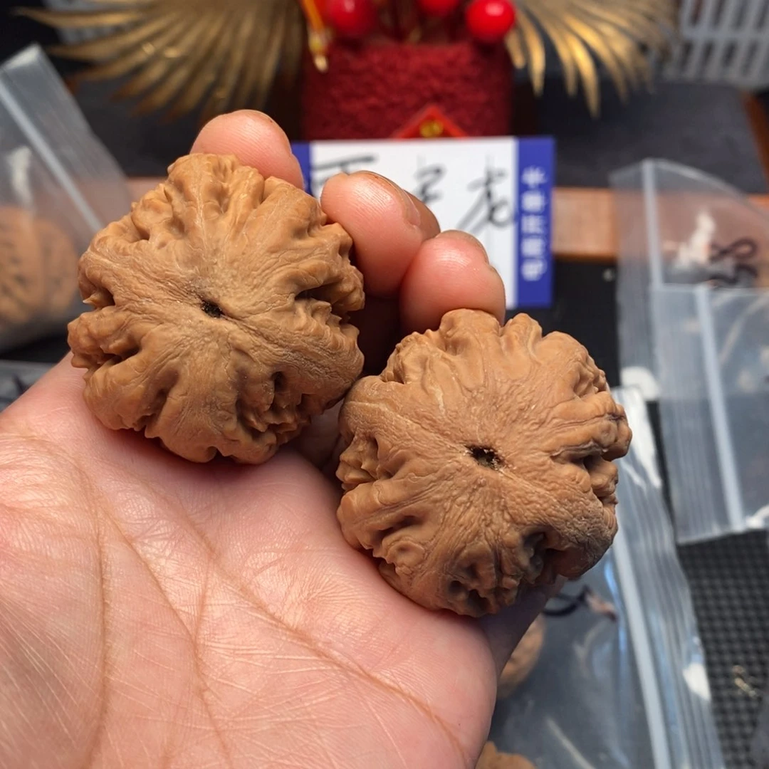 墨**然文玩核桃霸王龙41