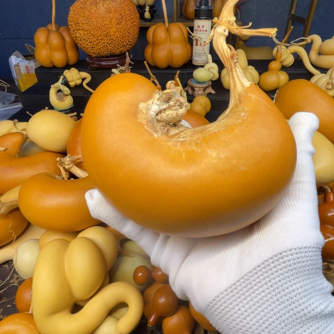 @***景葫芦66666666666666