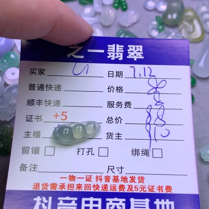 翡翠未镶嵌颈饰C**i