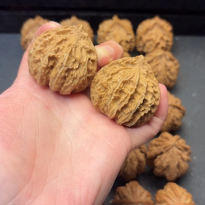 我也不知道我为什么要这样对