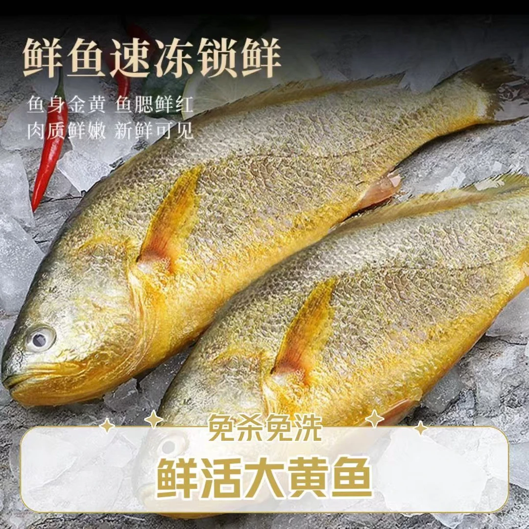 【连岛海产品店】（275克*7条） 免杀免洗 鲜活速冻大黄鱼