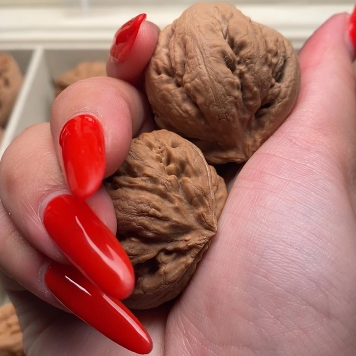 米***粒霸王龙全品无修一刀没动