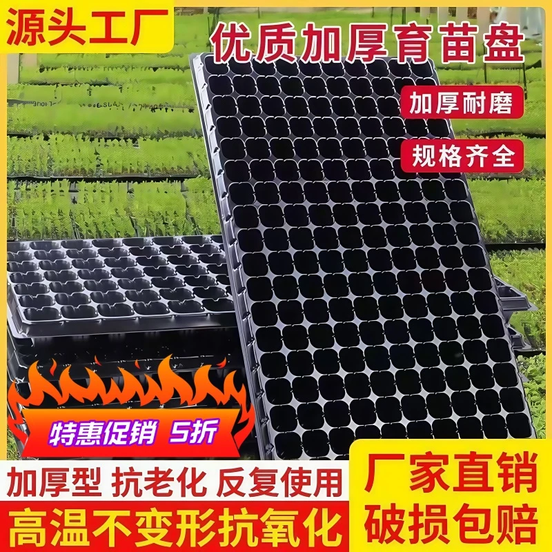 扦插育苗专用盆 种菜育种穴盆 秧盘家庭套装菜苗育苗盒托盘箱种植