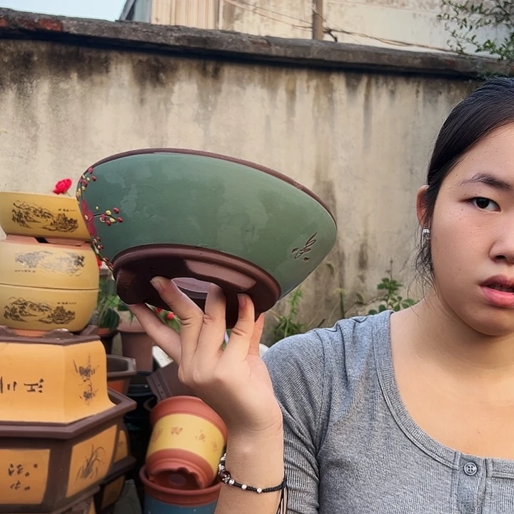 绿斗盆点菜小号一对