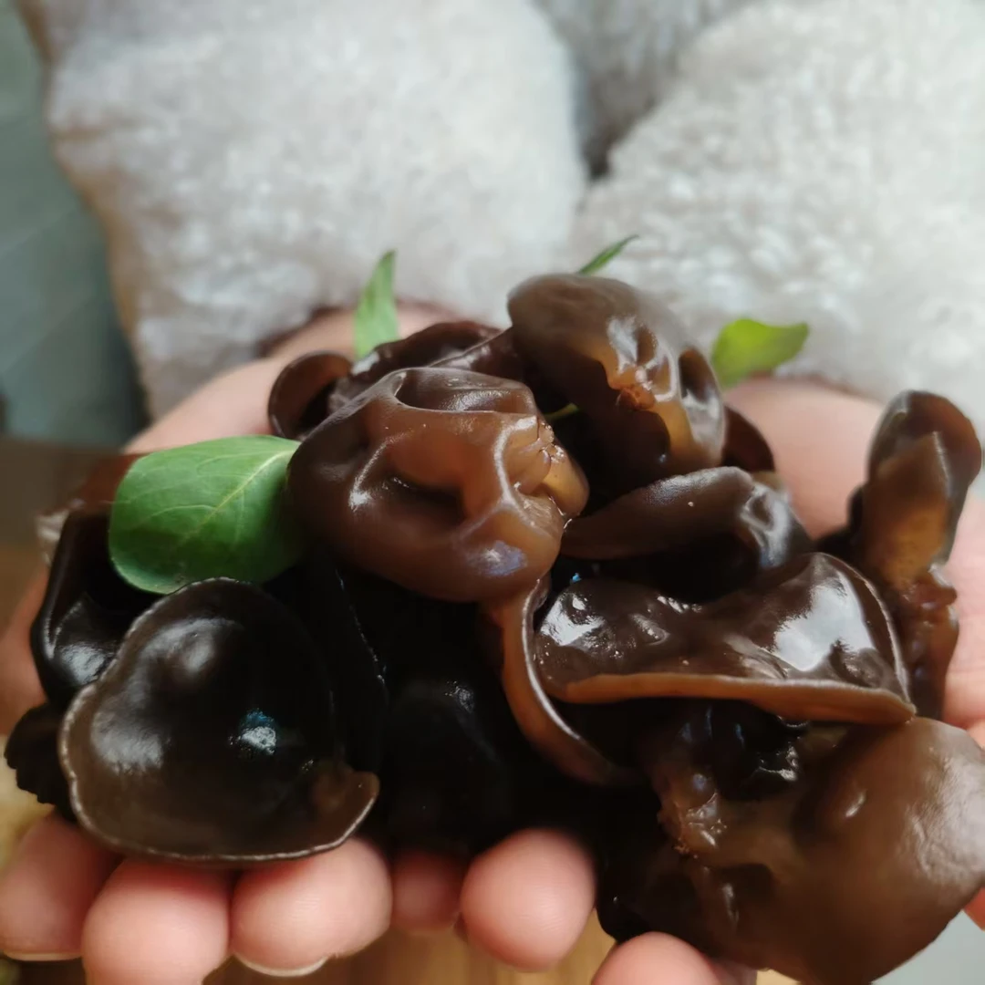 (小刘宝)东北头茬木耳25年新木耳无根无沙无增重泡发率高500克