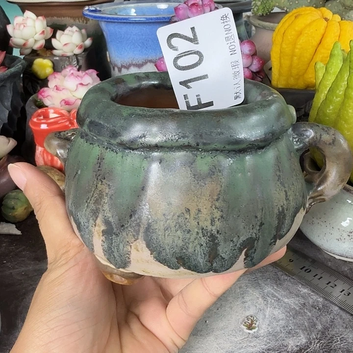 重庆小燕子欢迎大家102