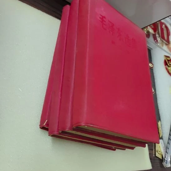 L***h其他普通金属纪念章