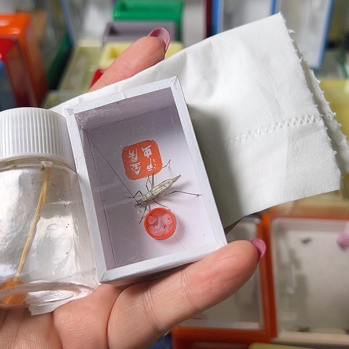 蓝***天蟋蟀哈哈哈哈哈哈哈哈哈哈哈