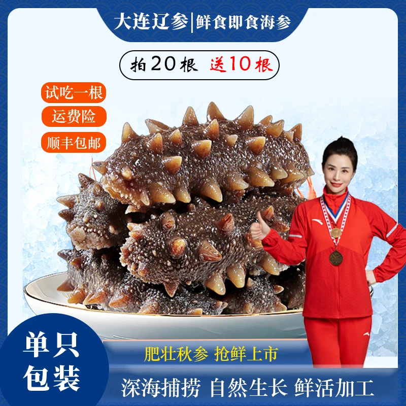 【7-8cm拍30送20根】大连正宗辽参深海捕捞q弹劲道即食海参ZB3