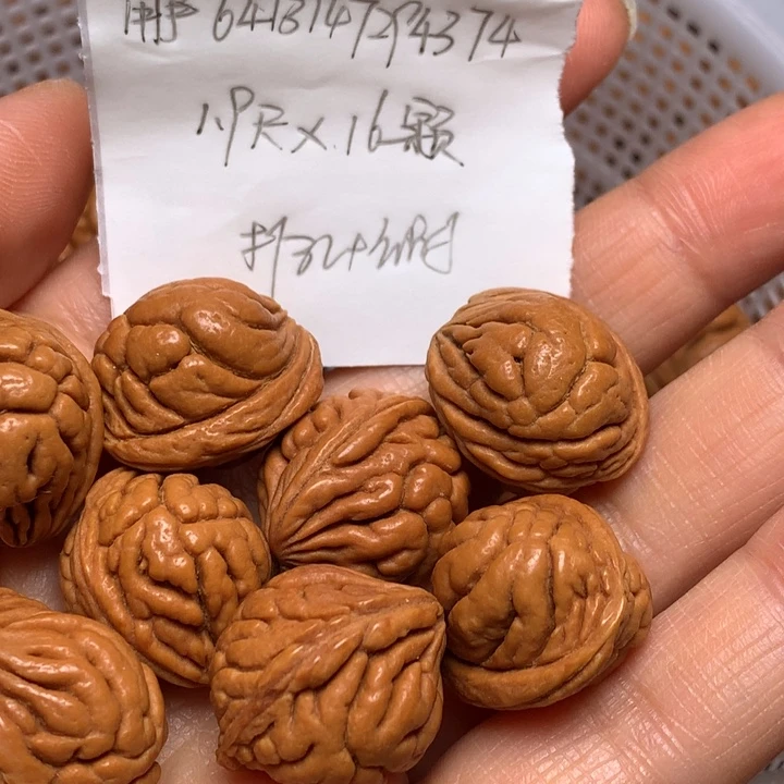 用***4野生龙纹桃核霸王龙