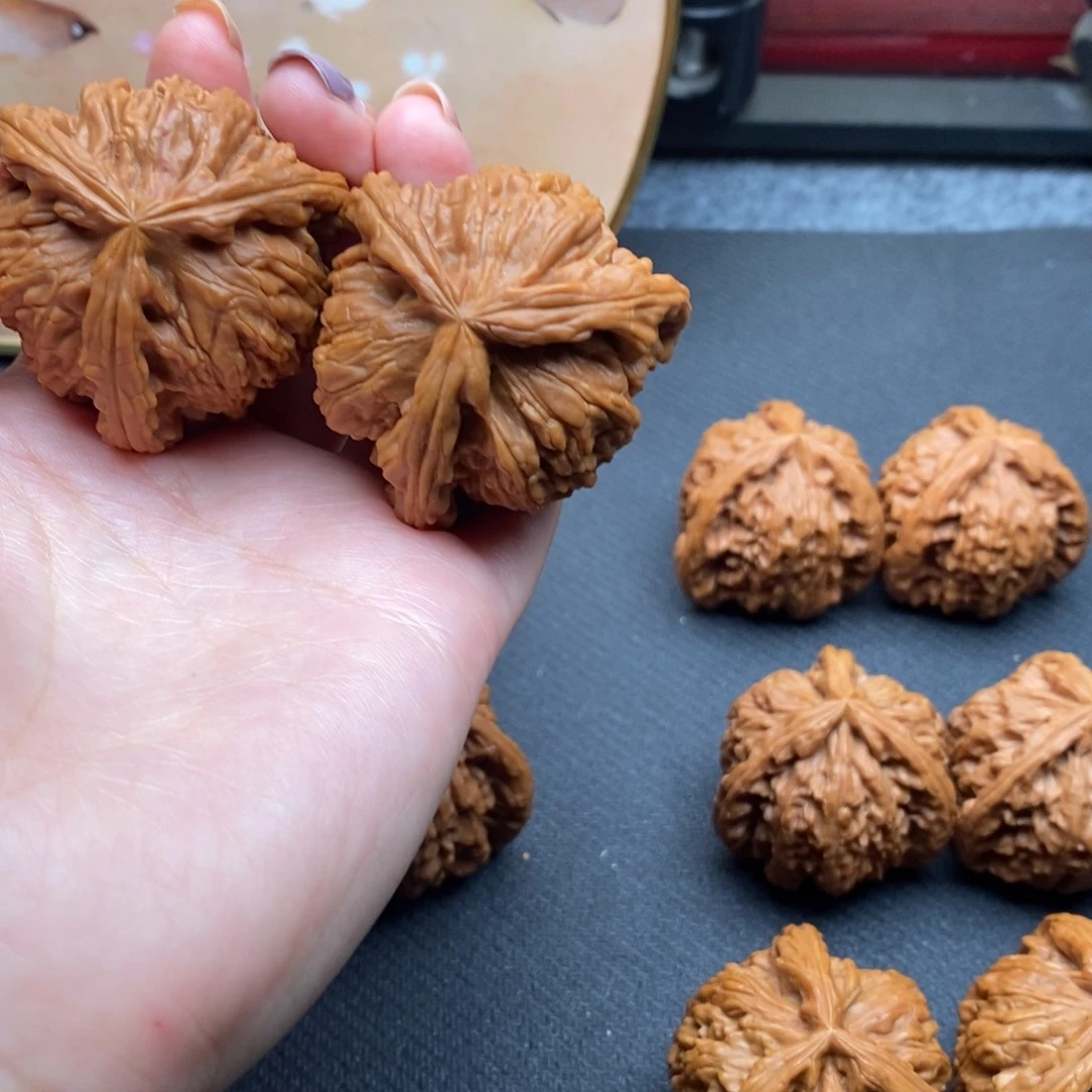 樵**哥白狮21111111111