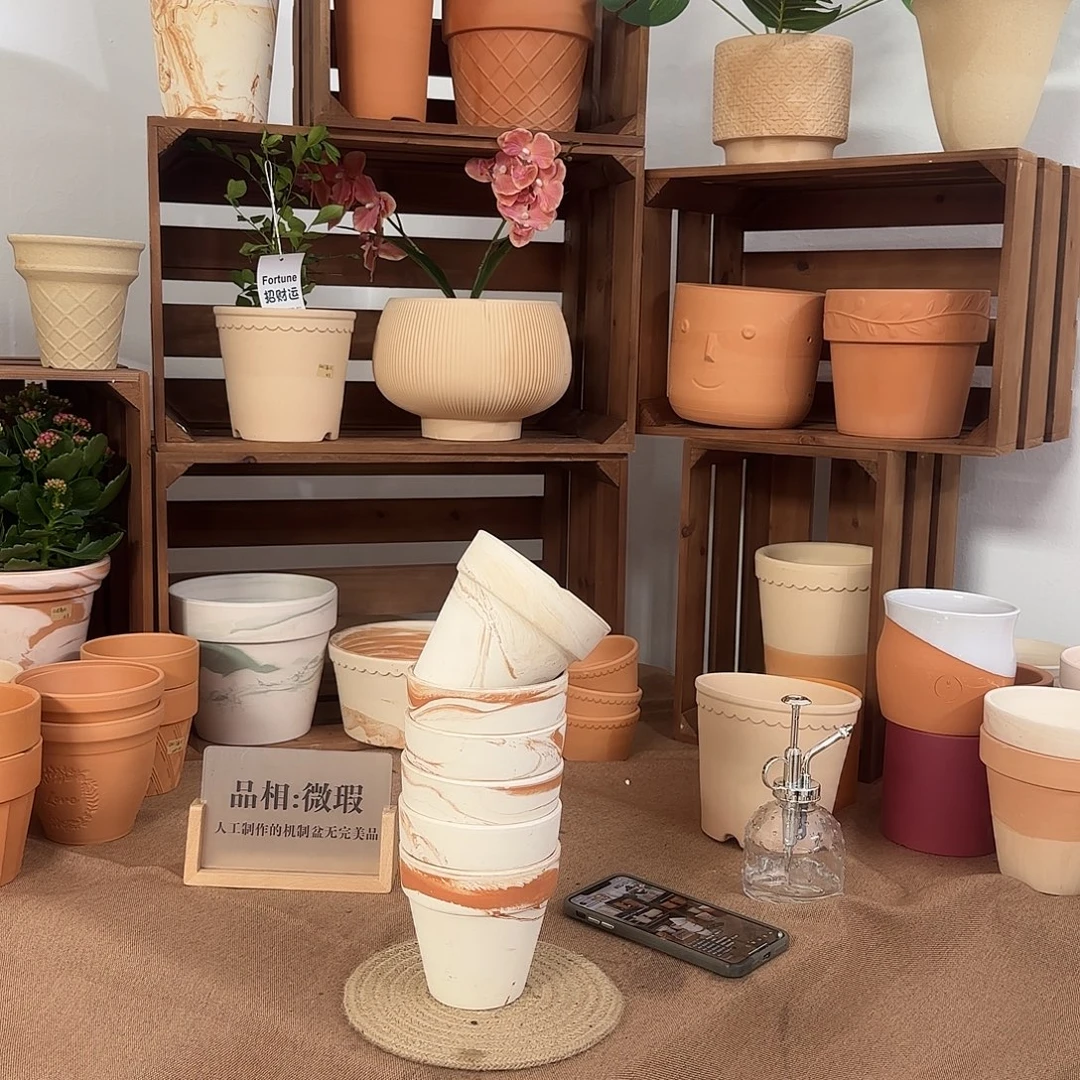 微瑕橘里橘气标准国际盆10口10高6个