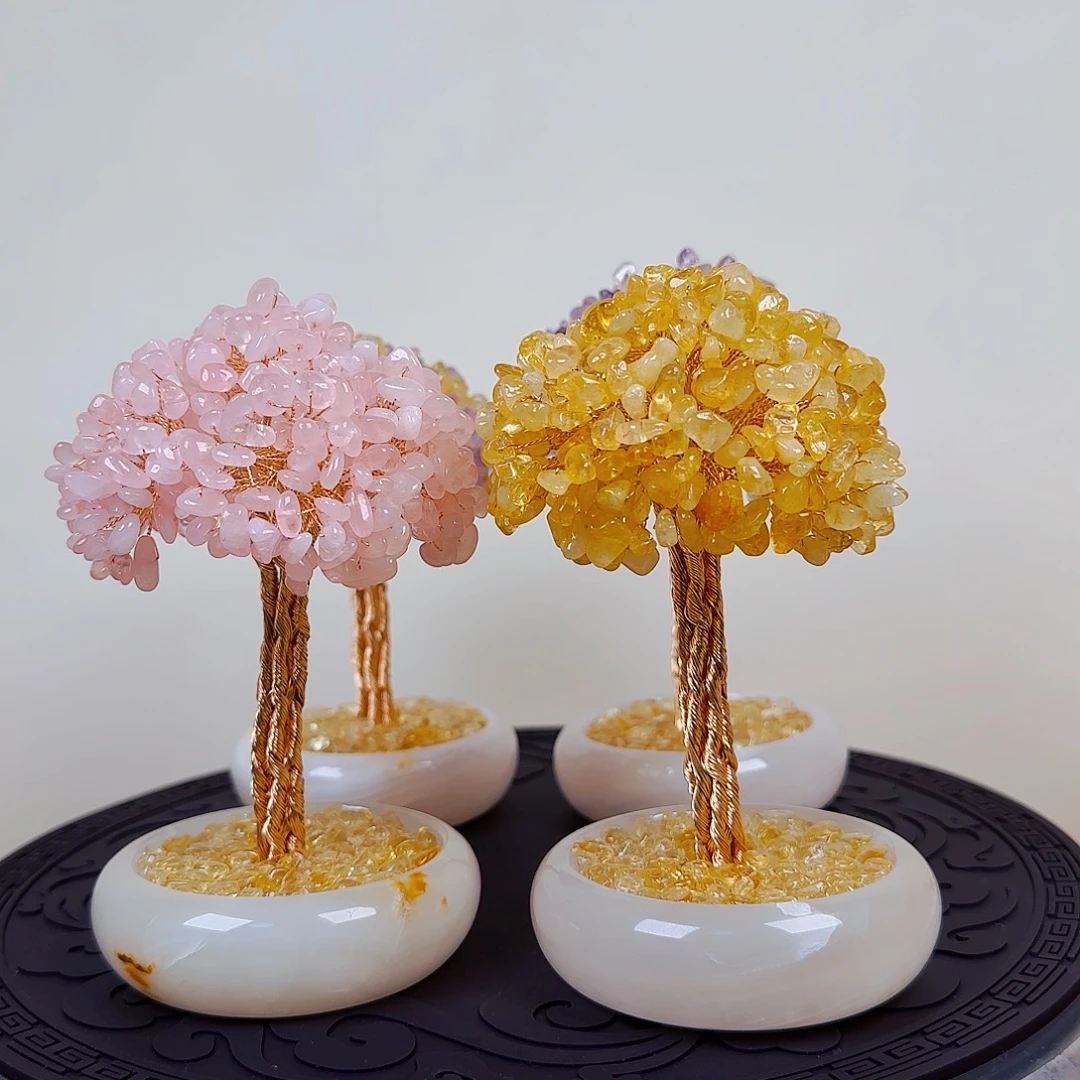 木蘑菇头水晶发财树