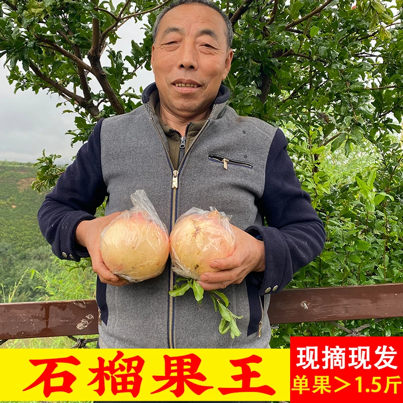 9斤果王6枚特大果陕西西安临潼非软籽石榴新鲜当季水果爆甜多汁