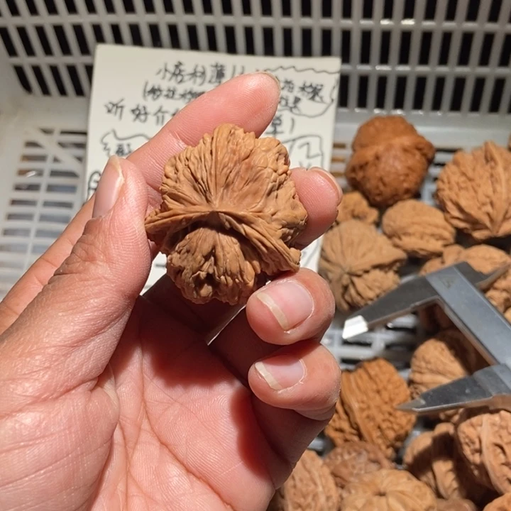 o***哥核桃四座楼三棱尺寸37全品