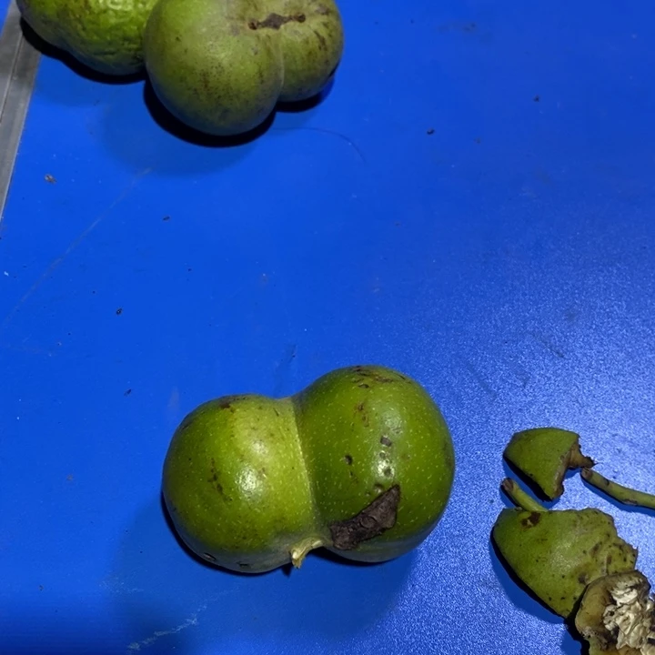 吊坠文玩核桃用****9