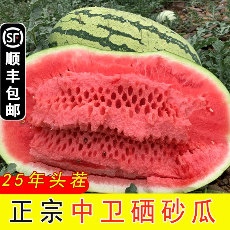 【顺丰包邮】正宗宁夏中卫硒砂瓜石头瓜头茬现摘沙瓤多汁
