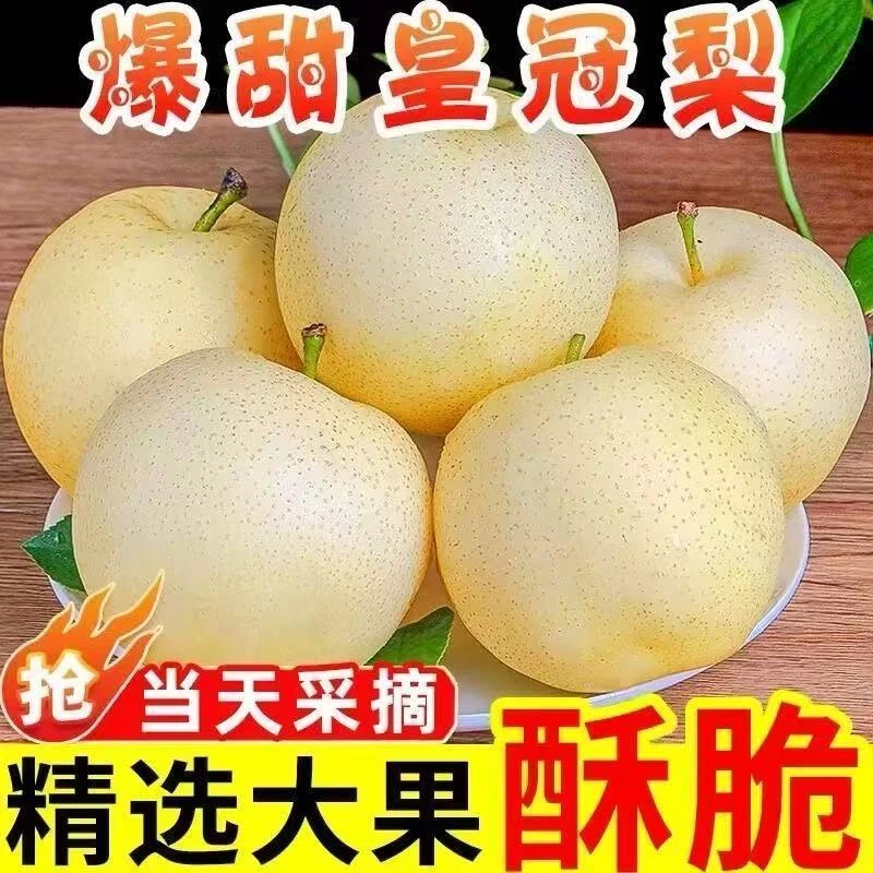 黄河故道2025年头茬皇冠新鲜水果皮薄多汁脆甜酥无渣博望黄金梨