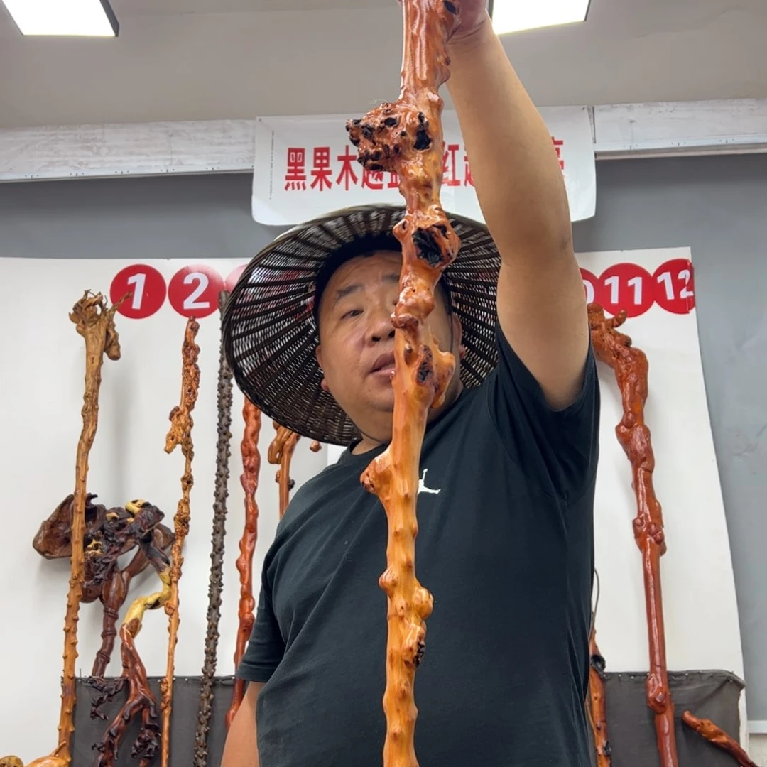 用***石黑果木其他黑果木128