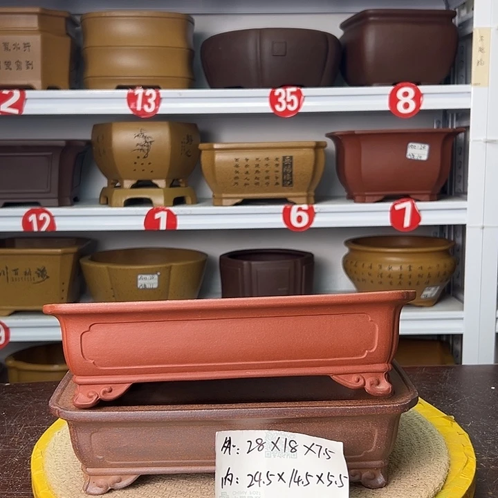 花盆紫砂蛇年大吉