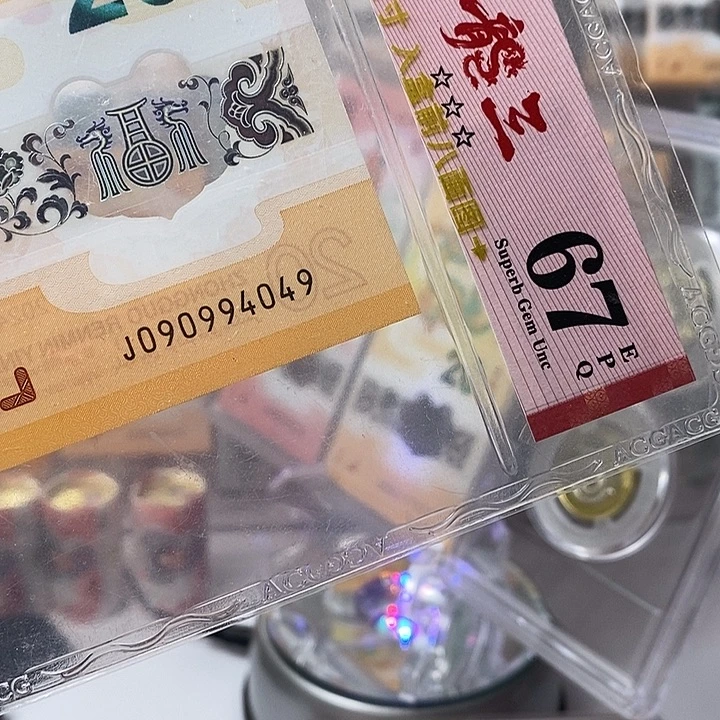 塑料24龙钞090994049龙三