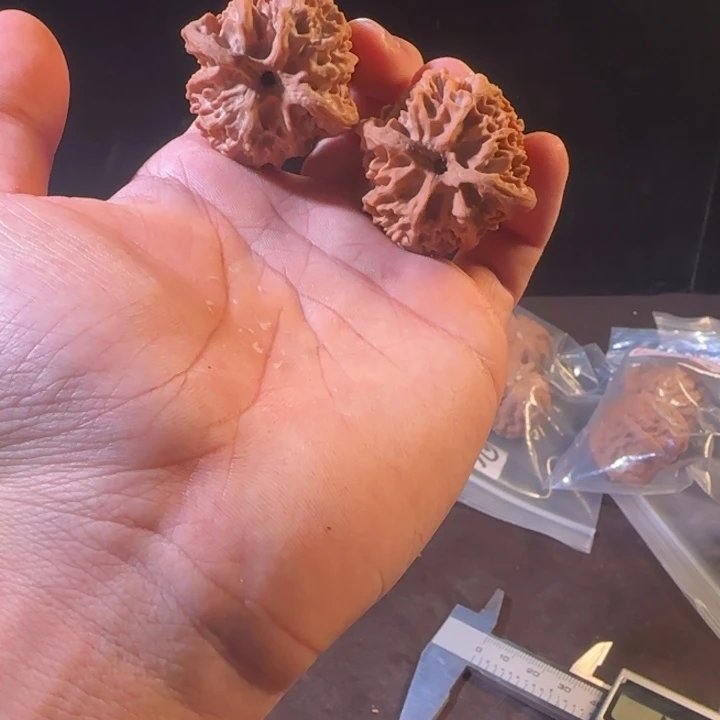 文玩核桃吊坠苹果园