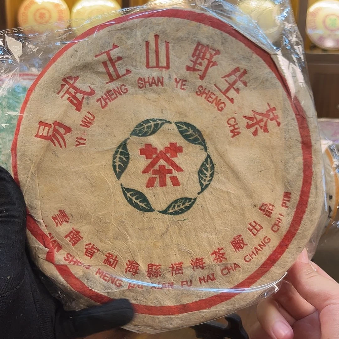 1999年福海绿星星