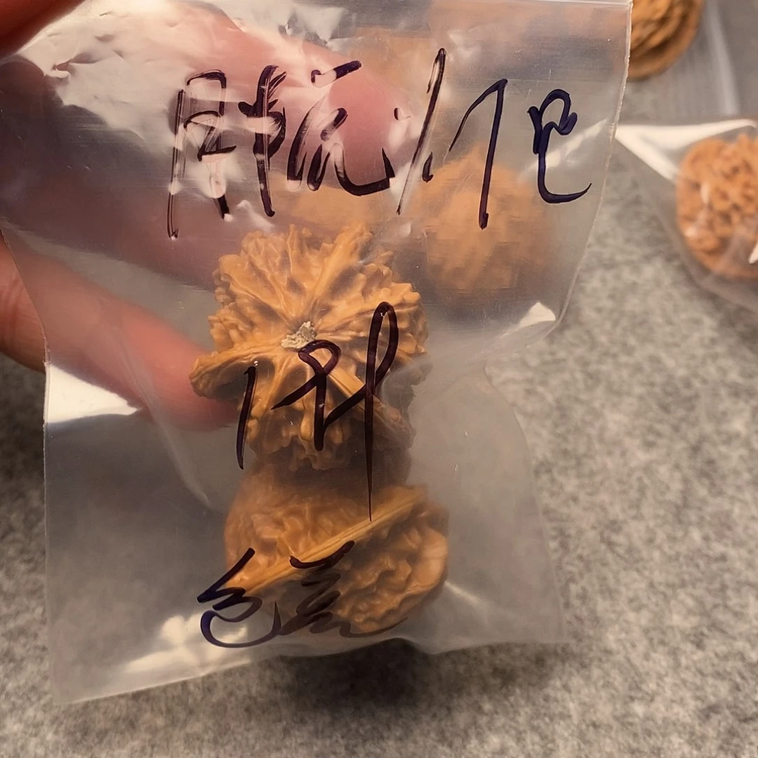 文玩核桃把件胖***吧三棱