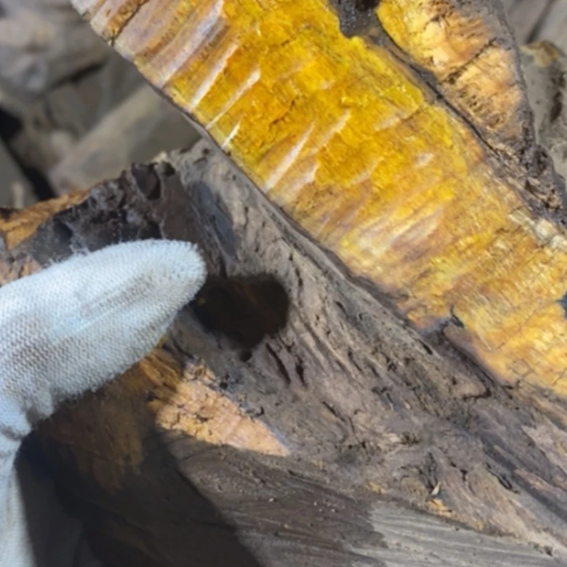 【闪购商品】贡木其他微***飞私人订制