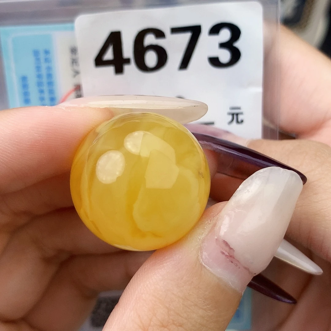 琥珀未镶嵌珠宝奇石22.5植物