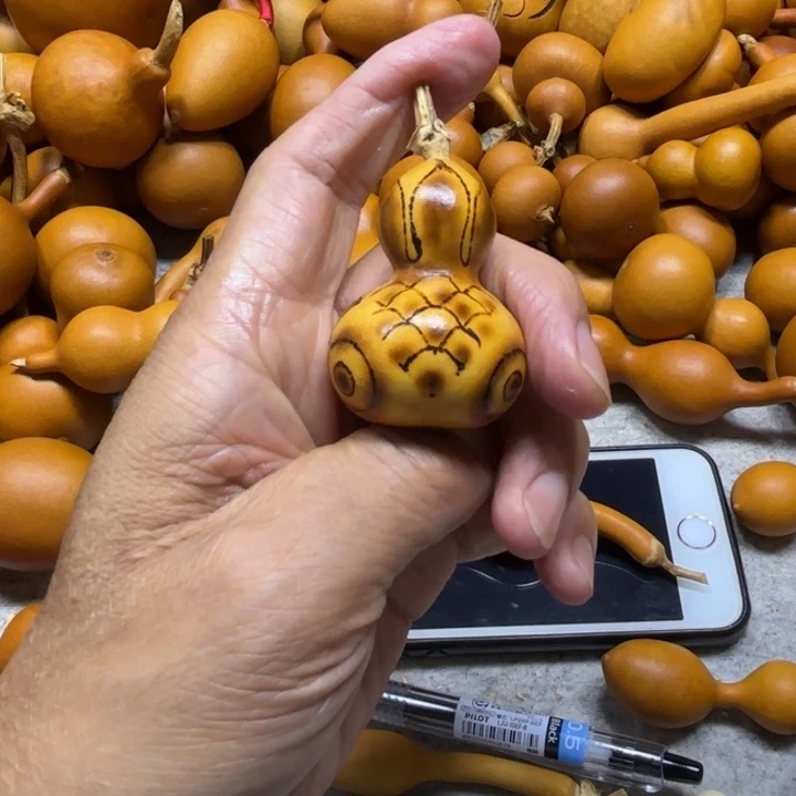 傅****负责刘二的一把金蝉鱼金蟾小鱼灯泡鱼