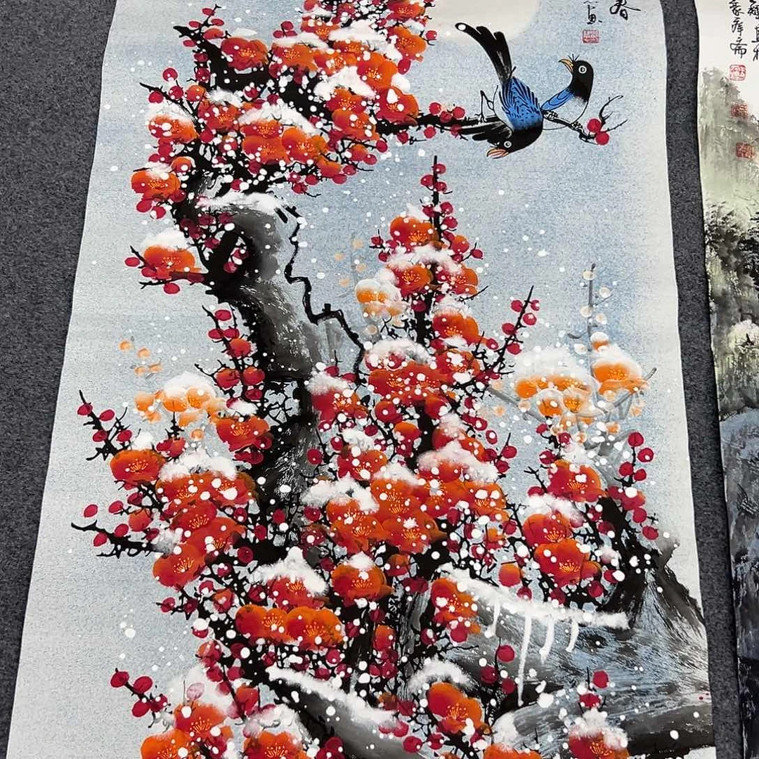 新号开播领福利了