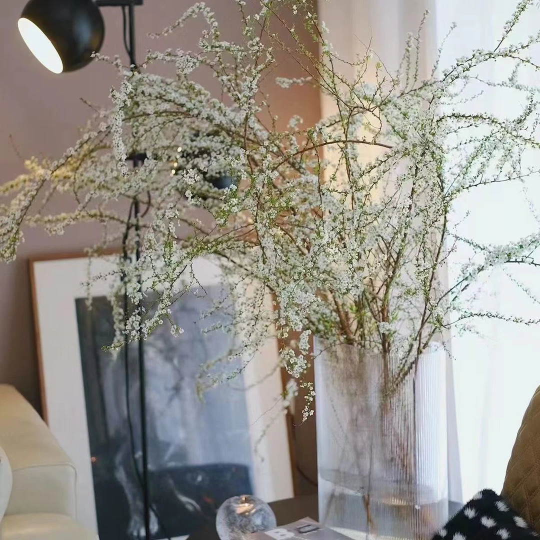 网红款鲜枝雪柳泡水开花水培冬季耐寒花卉干枝遇水家居室内绿植