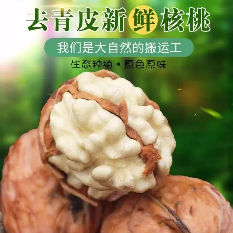 2025年新鲜湿核桃去青皮核桃嫩核桃生核桃薄皮核桃孕妇核桃包邮