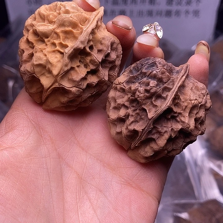 核桃云南野生铁核桃135号42mm