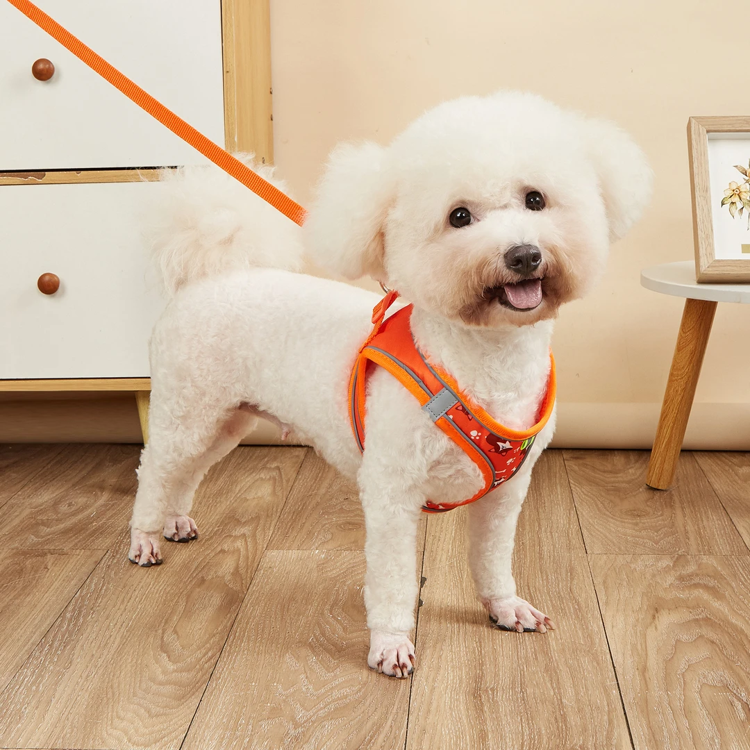 宠物用品新款狗狗胸背猫猫牵引绳溜猫绳背心式狗狗胸背带源头厂家