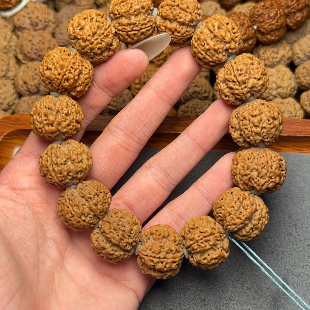 菩提28号尼泊尔大金刚21原生态古龙梅花