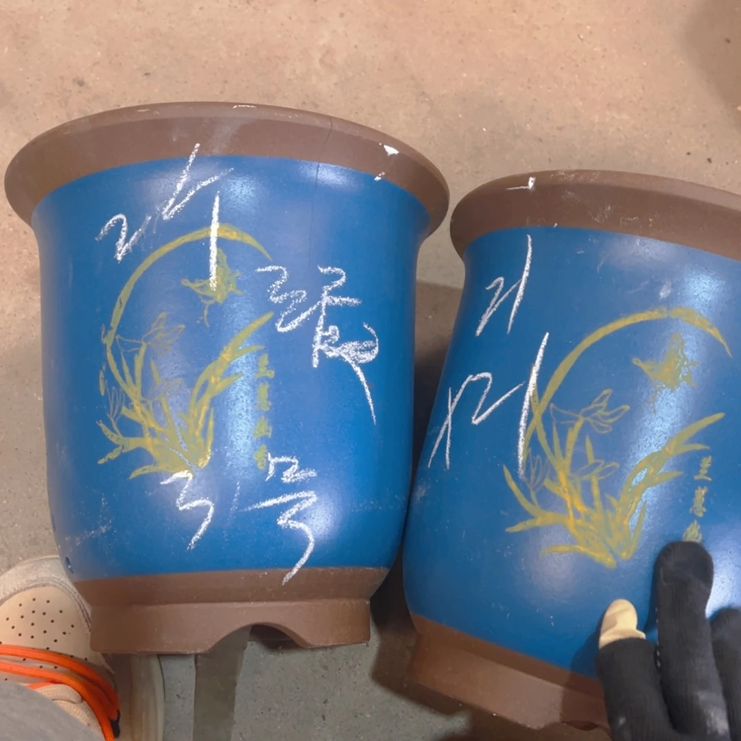 紫砂3号………………………………