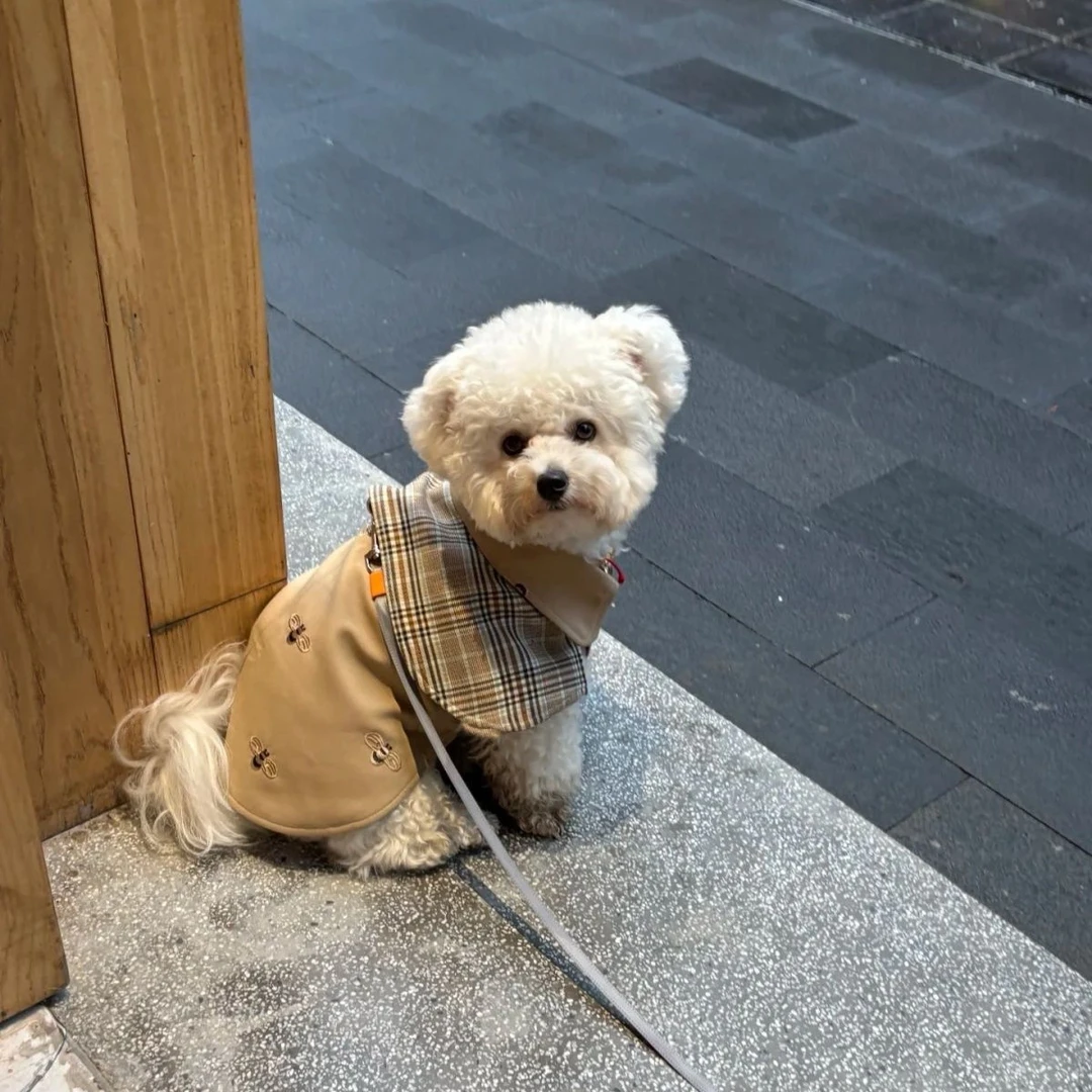 宠物衣服四季复古侦探斗篷英伦领带格子披风中小型犬狗狗