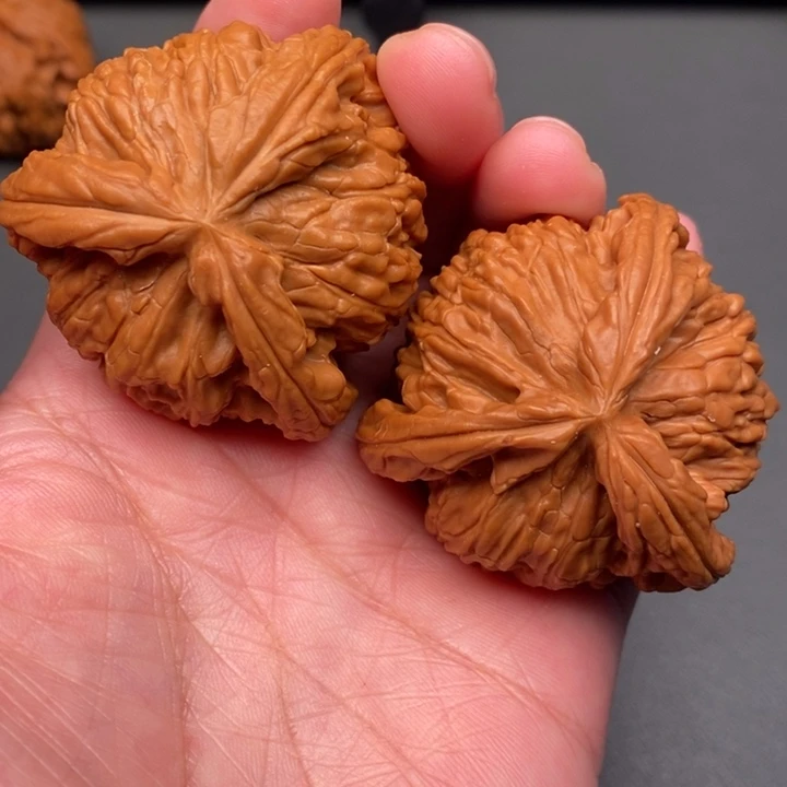 动***哥木质类核桃核桃核桃