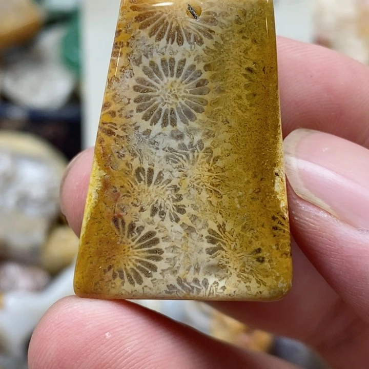 硅化珊瑚（珊瑚玉）未镶嵌颈饰小吊坠