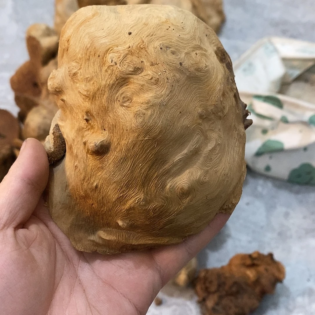 3***治荔枝木荔枝木原料