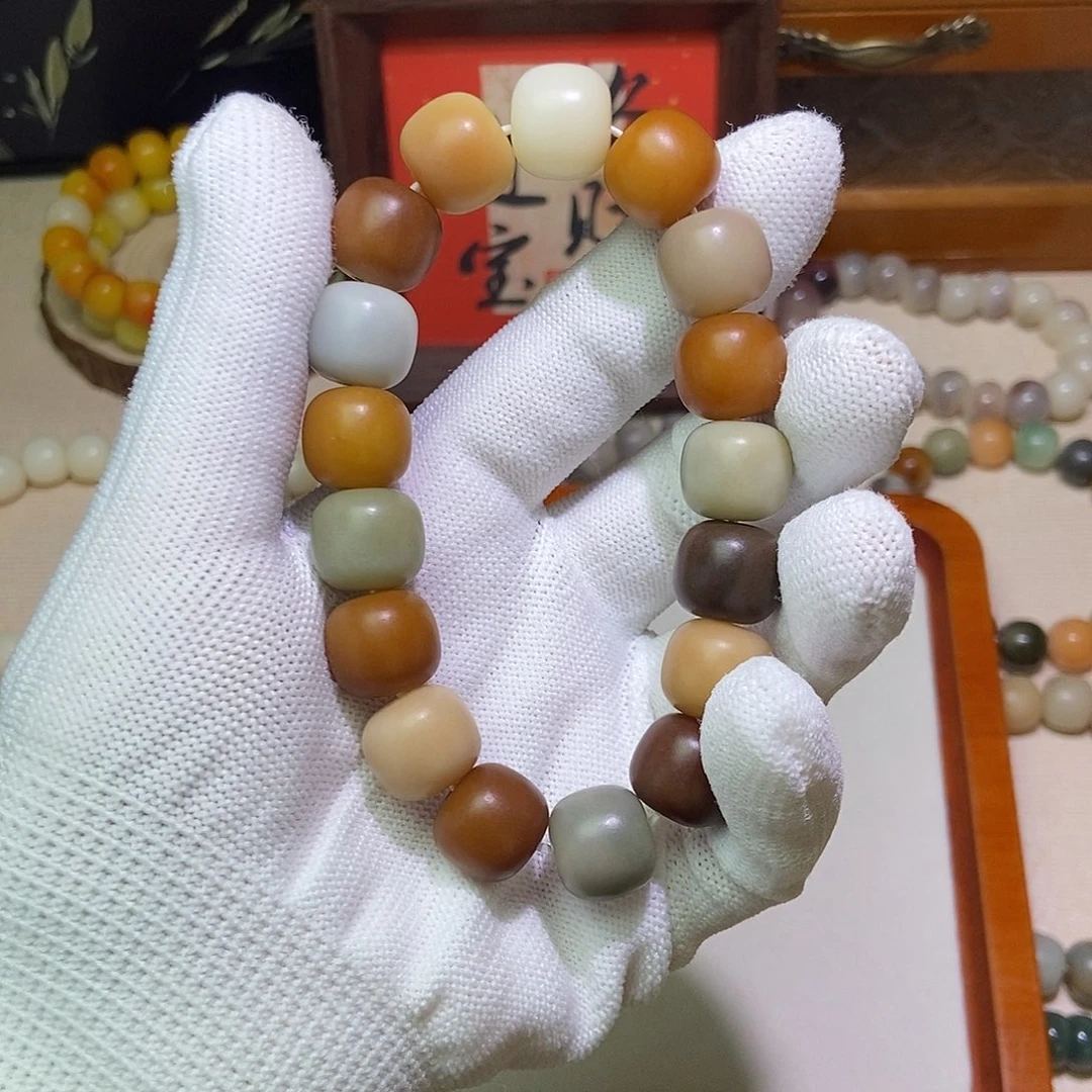 格***.菩提根/象牙果吊坠卡14微瑕干抛