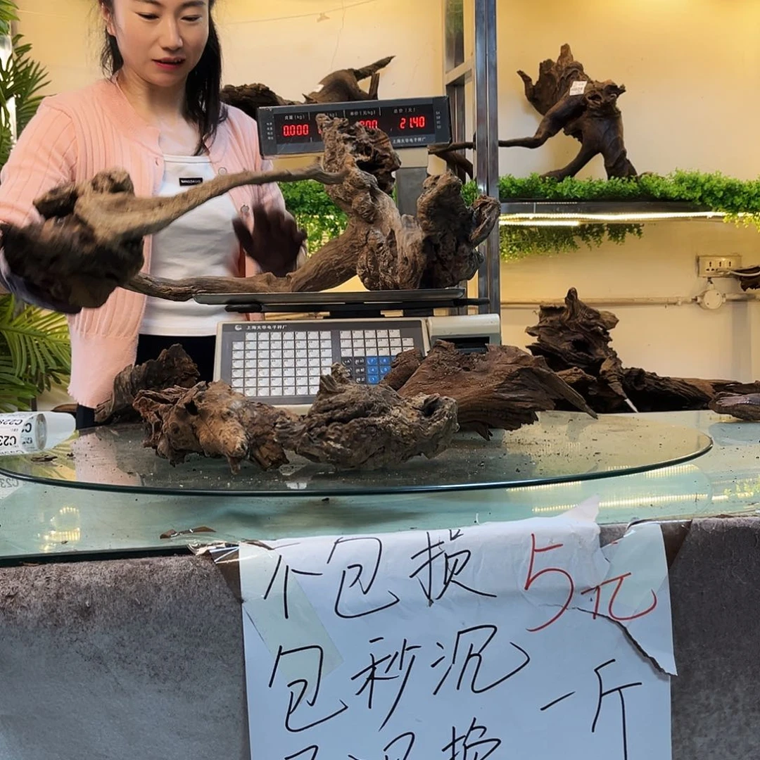 柚木玉***艺沉木鱼缸造景