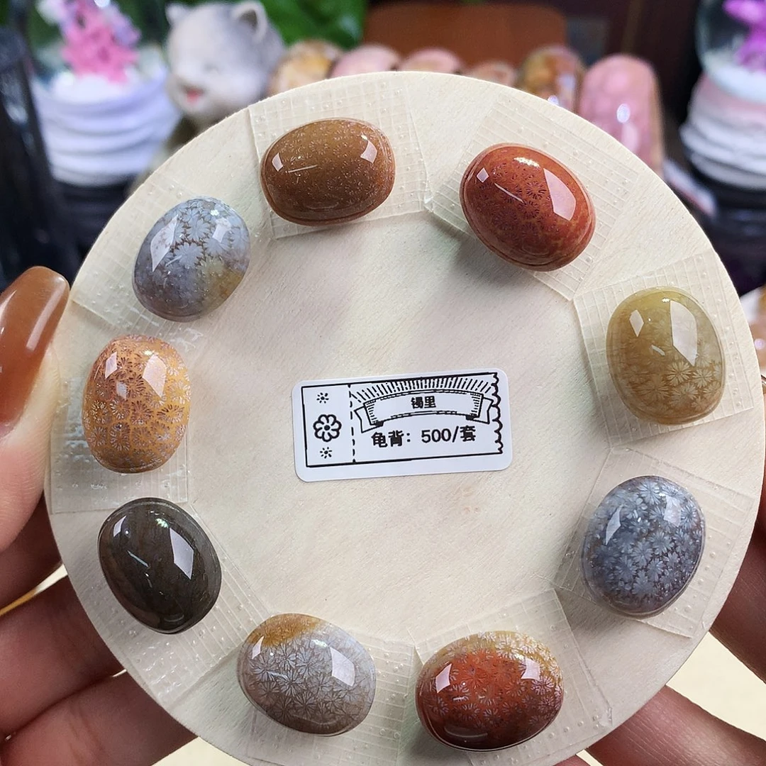 硅化珊瑚（珊瑚玉）未镶嵌吊坠(赠链)12号龟背一套
