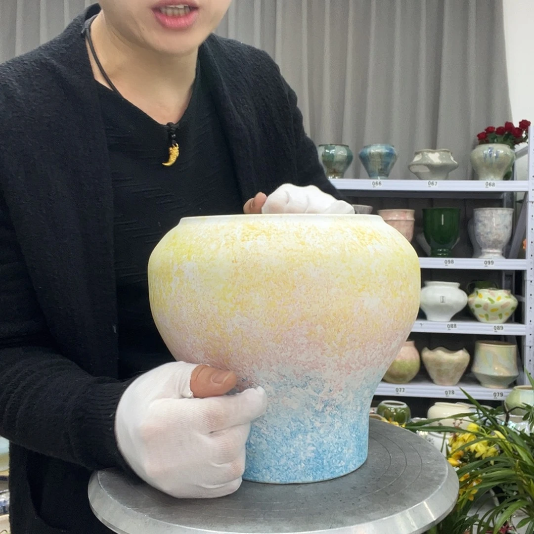 花盆里的小猫咪们都好可爱啊